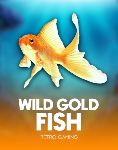Wild Gold Fish