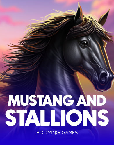 Mustangs and Stallions