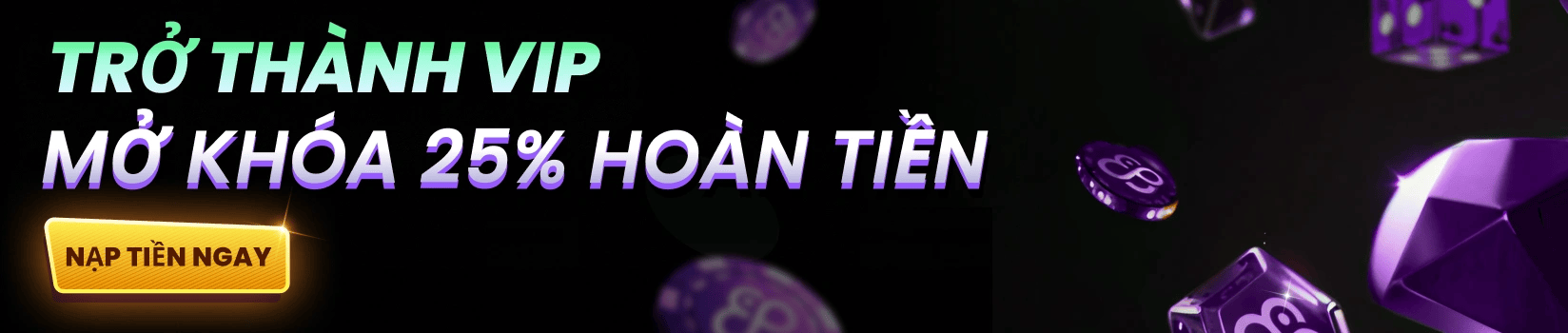 VIP Vietnam Logged Out