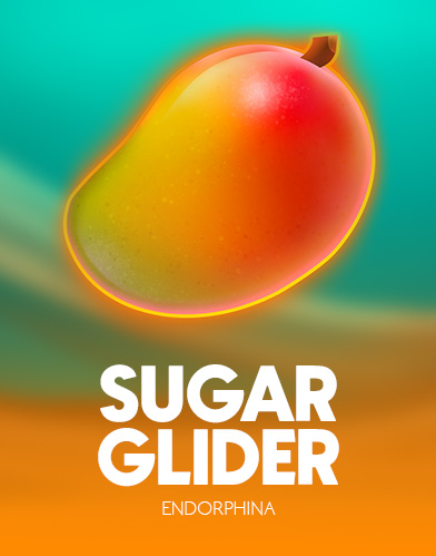 Sugar Glider
