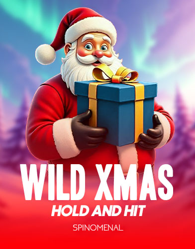 Wild Xmas -  Hold & Hit