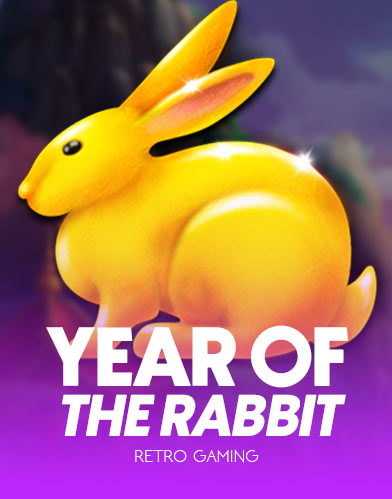 Year Of The Rabbit