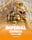 Imperial Express Hold & Win