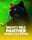 Mighty Wild: Panther Grand Gold Edition