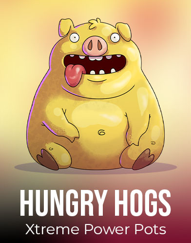 Hungry Hogs - Xtreme Power Pots