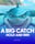 A Big Catch - Hold and Win