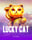 Lucky Cat