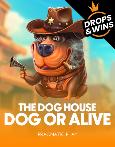 The Dog House - Dog or Alive
